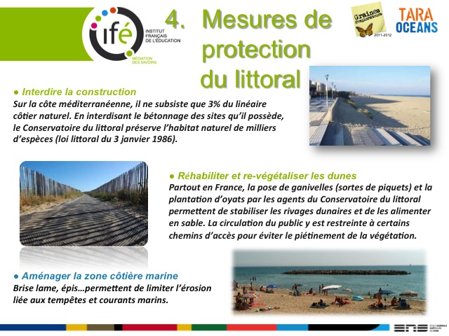 Connaissance Et Protection Du Littoral Catalan Connaissance Et Protection Du Littoral Catalan